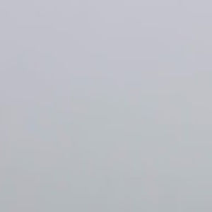 Meet your Posher, Rodrigo